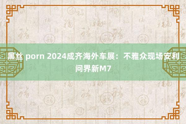 黑丝 porn 2024成齐海外车展：不雅众现场安利问界新M7