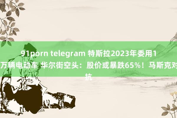 91porn telegram 特斯拉2023年委用181万辆电动车 华尔街空头：股价或暴跌65%！马斯克对抗