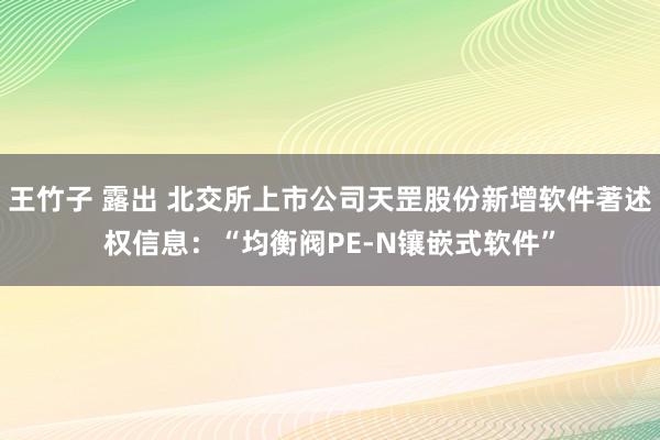 王竹子 露出 北交所上市公司天罡股份新增软件著述权信息：“均衡阀PE-N镶嵌式软件”