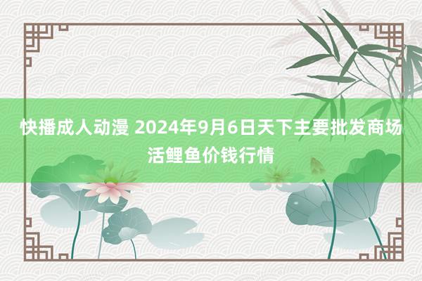 快播成人动漫 2024年9月6日天下主要批发商场活鲤鱼价钱行情