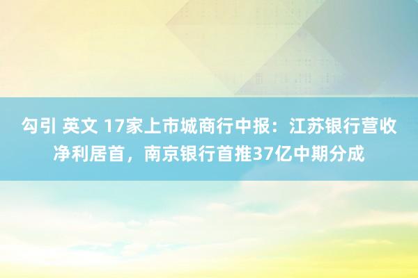 勾引 英文 17家上市城商行中报：江苏银行营收净利居首，南京银行首推37亿中期分成