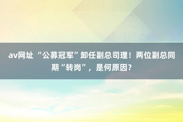 av网址 “公募冠军”卸任副总司理！两位副总同期“转岗”，是何原因？