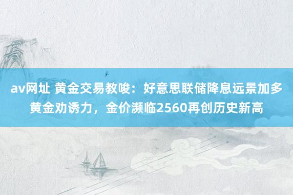 av网址 黄金交易教唆：好意思联储降息远景加多黄金劝诱力，金价濒临2560再创历史新高