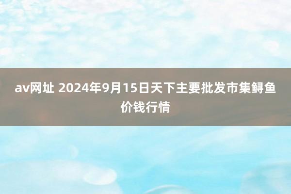 av网址 2024年9月15日天下主要批发市集鲟鱼价钱行情