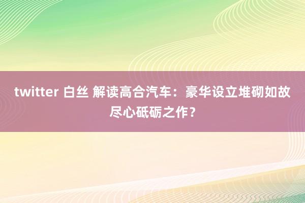 twitter 白丝 解读高合汽车：豪华设立堆砌如故尽心砥砺之作？