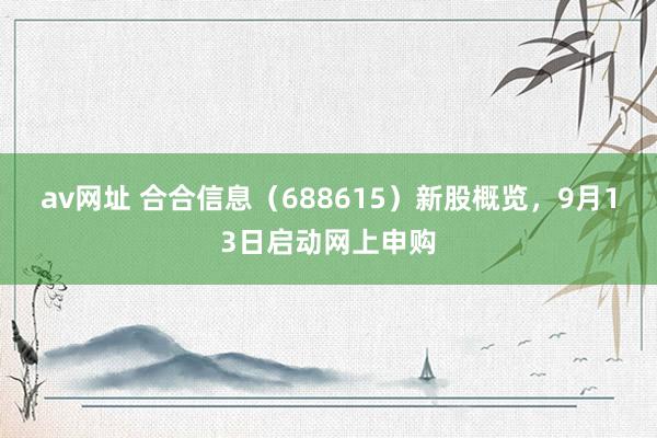 av网址 合合信息（688615）新股概览，9月13日启动网上申购