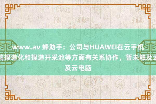 www.av 蜂助手：公司与HUAWEI在云手机、末端捏造化和捏造开采池等方面有关系协作，暂未触及云电脑