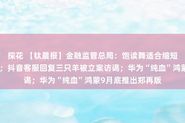 探花 【钛晨报】金融监管总局：饱读舞适合缩短汽车贷款首付比例；抖音客服回复三只羊被立案访谒；华为“纯血”鸿蒙9月底推出郑再版