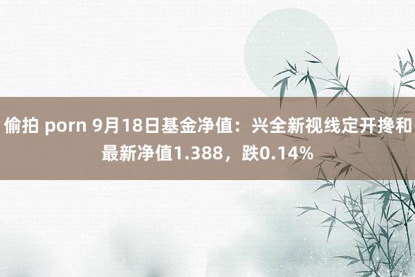 偷拍 porn 9月18日基金净值：兴全新视线定开搀和最新净值1.388，跌0.14%