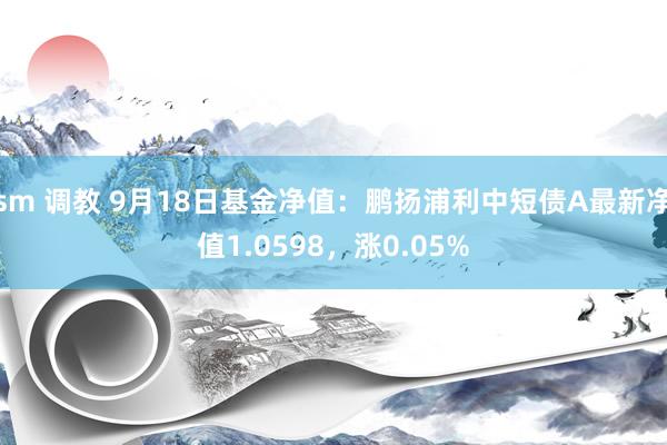 sm 调教 9月18日基金净值：鹏扬浦利中短债A最新净值1.0598，涨0.05%