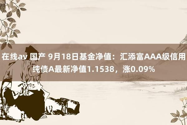 在线av 国产 9月18日基金净值：汇添富AAA级信用纯债A最新净值1.1538，涨0.09%