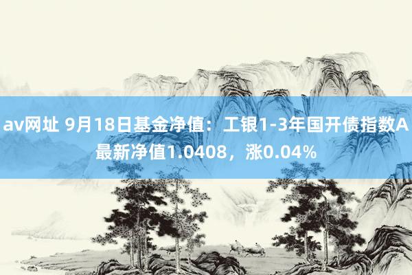 av网址 9月18日基金净值：工银1-3年国开债指数A最新净值1.0408，涨0.04%