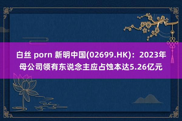 白丝 porn 新明中国(02699.HK)：2023年母公司领有东说念主应占蚀本达5.26亿元