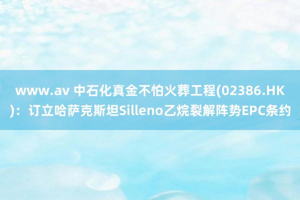 www.av 中石化真金不怕火葬工程(02386.HK)：订立哈萨克斯坦Silleno乙烷裂解阵势EPC条约