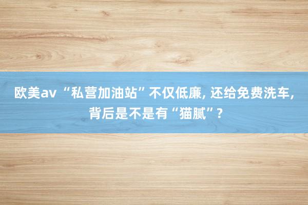 欧美av “私营加油站”不仅低廉， 还给免费洗车， 背后是不是有“猫腻”?