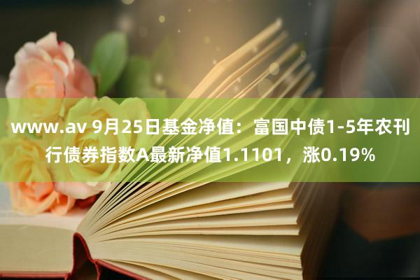 www.av 9月25日基金净值：富国中债1-5年农刊行债券指数A最新净值1.1101，涨0.19%