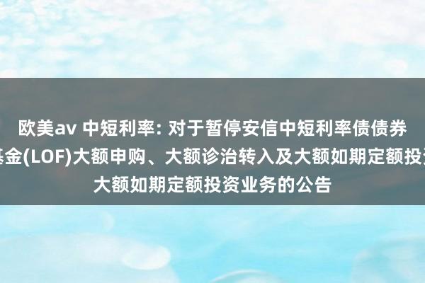 欧美av 中短利率: 对于暂停安信中短利率债债券型证券投资基金(LOF)大额申购、大额诊治转入及大额如期定额投资业务的公告