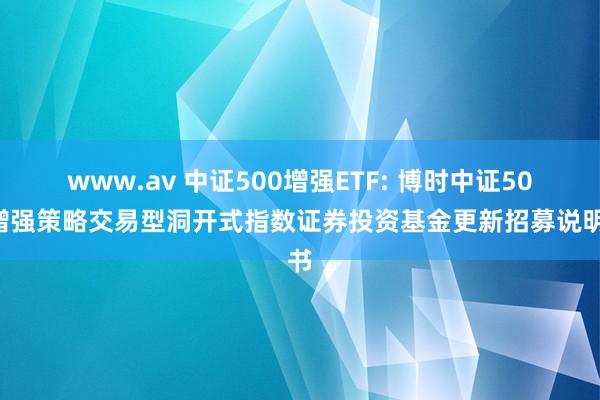 www.av 中证500增强ETF: 博时中证500增强策略交易型洞开式指数证券投资基金更新招募说明书