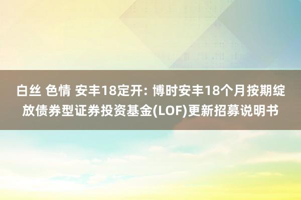 白丝 色情 安丰18定开: 博时安丰18个月按期绽放债券型证券投资基金(LOF)更新招募说明书