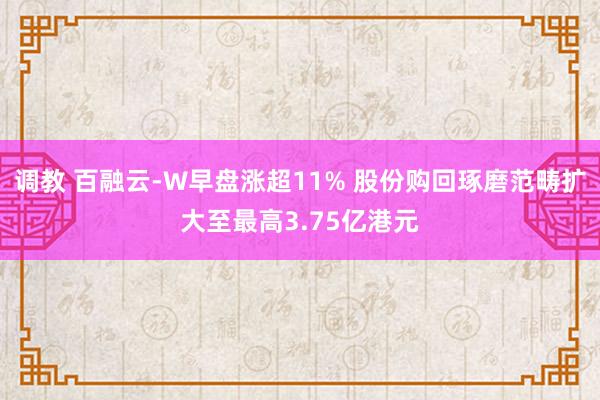 调教 百融云-W早盘涨超11% 股份购回琢磨范畴扩大至最高3.75亿港元