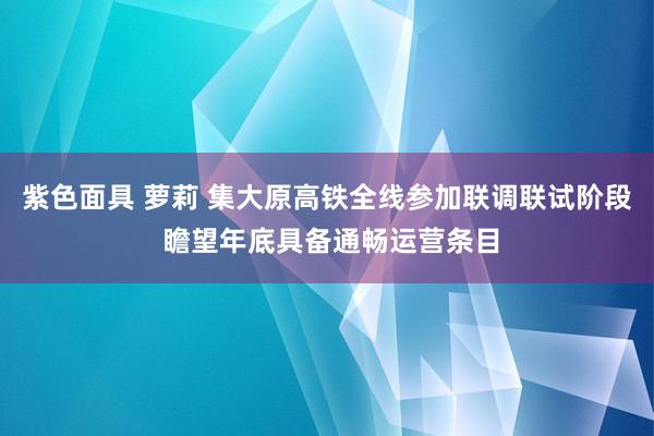 紫色面具 萝莉 集大原高铁全线参加联调联试阶段 瞻望年底具备通畅运营条目