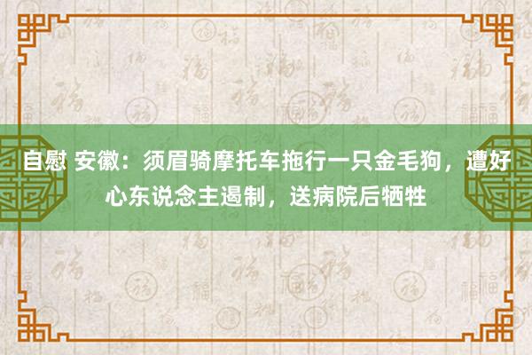 自慰 安徽：须眉骑摩托车拖行一只金毛狗，遭好心东说念主遏制，送病院后牺牲