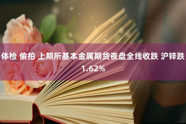 体检 偷拍 上期所基本金属期货夜盘全线收跌 沪锌跌1.62%