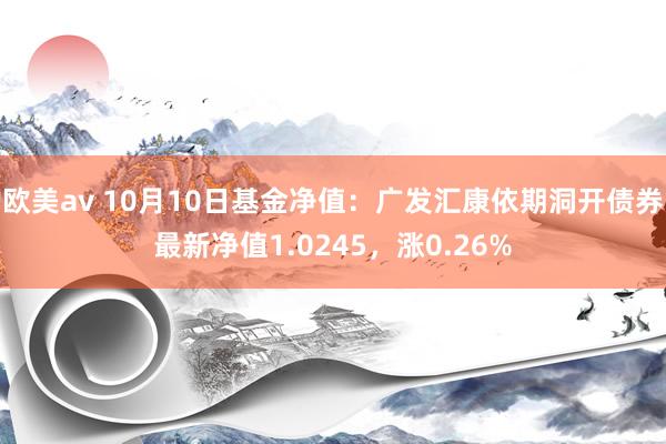 欧美av 10月10日基金净值：广发汇康依期洞开债券最新净值1.0245，涨0.26%