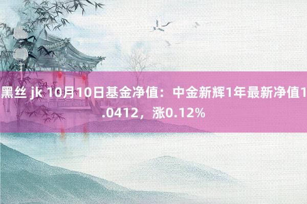 黑丝 jk 10月10日基金净值：中金新辉1年最新净值1.0412，涨0.12%