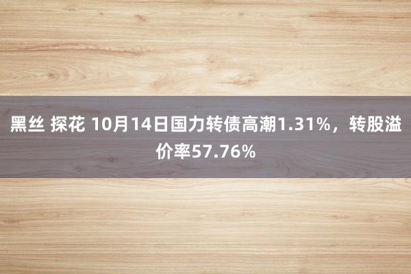 黑丝 探花 10月14日国力转债高潮1.31%，转股溢价率57.76%