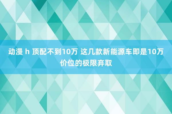 动漫 h 顶配不到10万 这几款新能源车即是10万价位的极限弃取