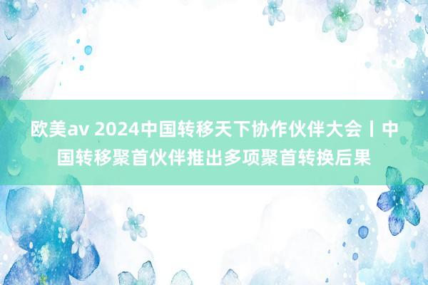 欧美av 2024中国转移天下协作伙伴大会丨中国转移聚首伙伴推出多项聚首转换后果