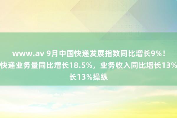 www.av 9月中国快递发展指数同比增长9%！瞻望快递业务量同比增长18.5%，业务收入同比增长13%操纵