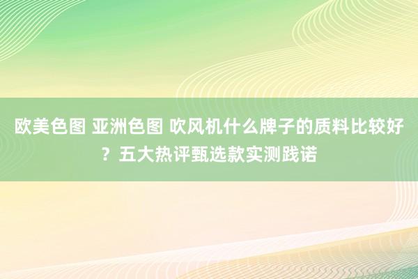 欧美色图 亚洲色图 吹风机什么牌子的质料比较好？五大热评甄选款实测践诺