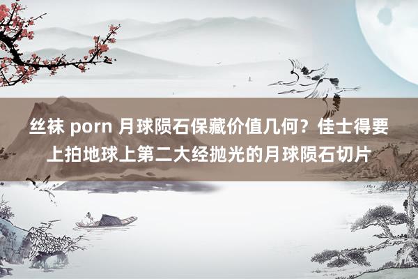 丝袜 porn 月球陨石保藏价值几何？佳士得要上拍地球上第二大经抛光的月球陨石切片