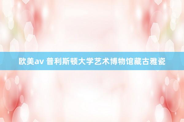 欧美av 普利斯顿大学艺术博物馆藏古雅瓷