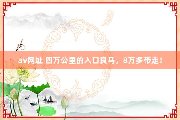 av网址 四万公里的入口良马，8万多带走！