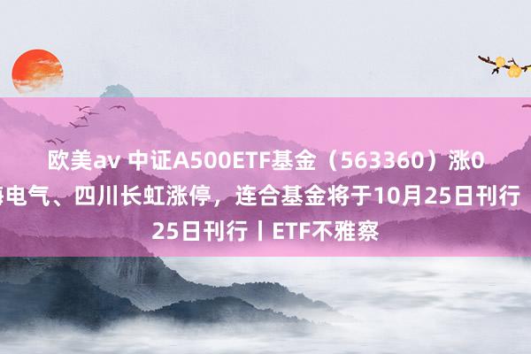 欧美av 中证A500ETF基金（563360）涨0.59%，上海电气、四川长虹涨停，连合基金将于10月25日刊行丨ETF不雅察