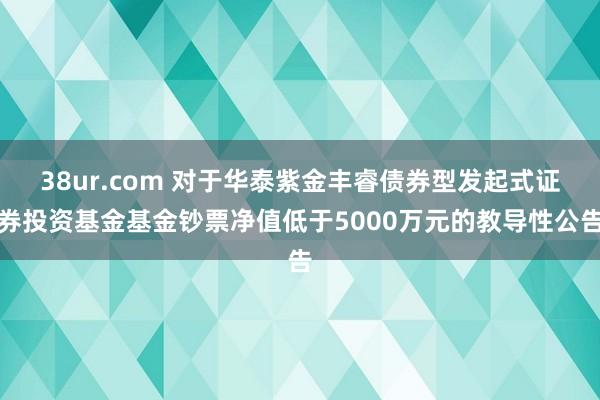 38ur.com 对于华泰紫金丰睿债券型发起式证券投资基金基金钞票净值低于5000万元的教导性公告