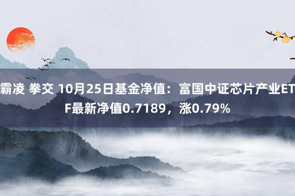 霸凌 拳交 10月25日基金净值：富国中证芯片产业ETF最新净值0.7189，涨0.79%