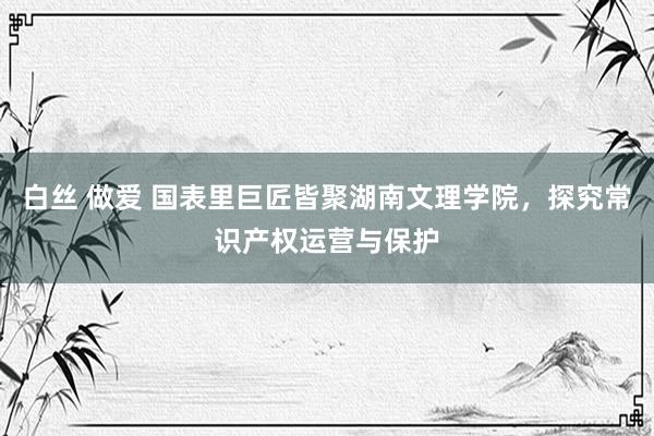 白丝 做爱 国表里巨匠皆聚湖南文理学院，探究常识产权运营与保护