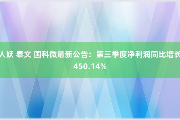 人妖 泰文 国科微最新公告：第三季度净利润同比增长450.14%