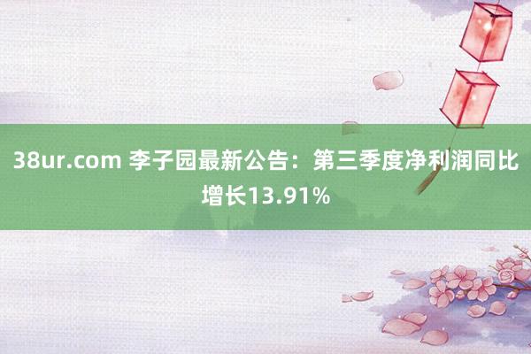 38ur.com 李子园最新公告：第三季度净利润同比增长13.91%