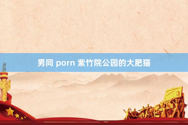 男同 porn 紫竹院公园的大肥猫