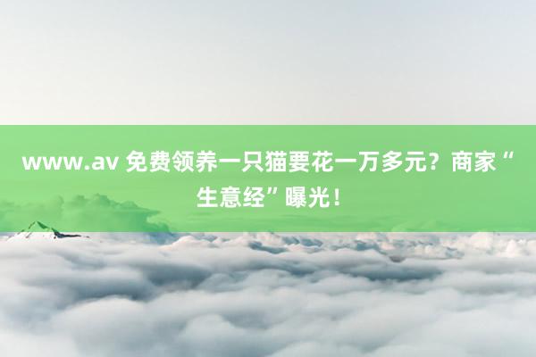 www.av 免费领养一只猫要花一万多元？商家“生意经”曝光！