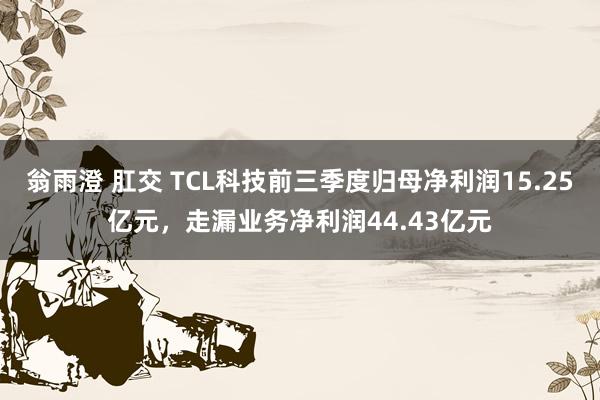 翁雨澄 肛交 TCL科技前三季度归母净利润15.25亿元，走漏业务净利润44.43亿元