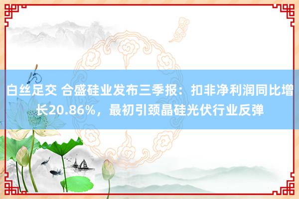 白丝足交 合盛硅业发布三季报：扣非净利润同比增长20.86%，最初引颈晶硅光伏行业反弹