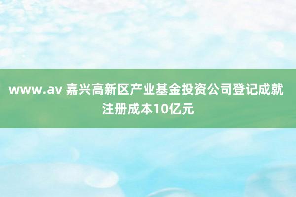 www.av 嘉兴高新区产业基金投资公司登记成就 注册成本10亿元