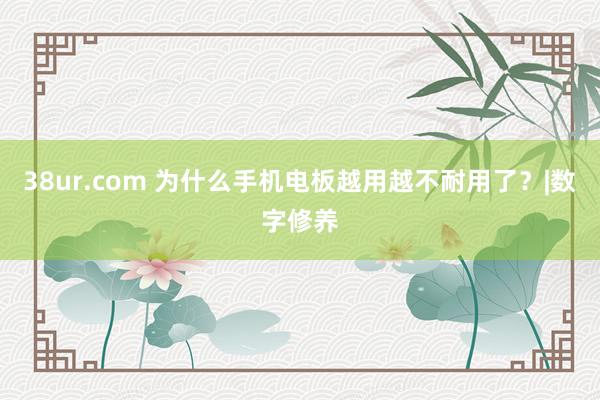 38ur.com 为什么手机电板越用越不耐用了？|数字修养