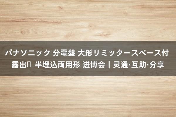 パナソニック 分電盤 大形リミッタースペース付 露出・半埋込両用形 进博会｜灵通·互助·分享